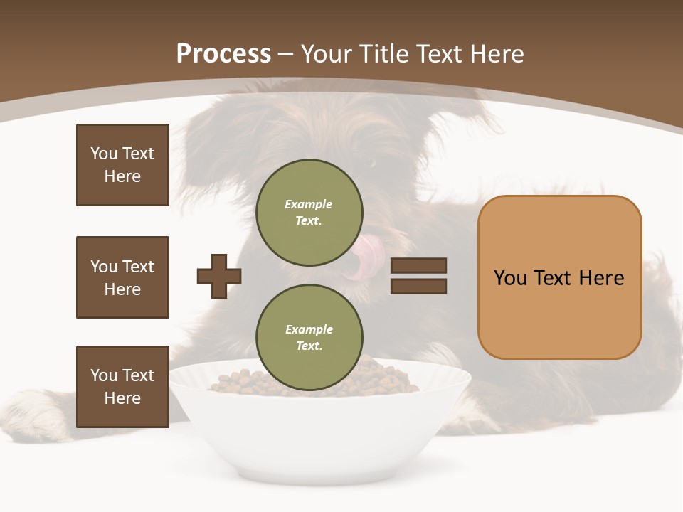A Brown And White Dog Sitting Next To A Bowl Of Food PowerPoint Template