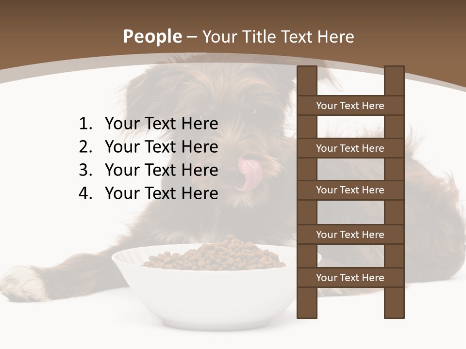 A Brown And White Dog Sitting Next To A Bowl Of Food PowerPoint Template