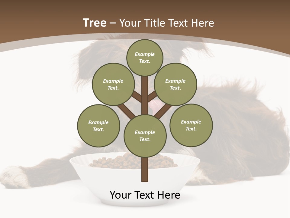 A Brown And White Dog Sitting Next To A Bowl Of Food PowerPoint Template