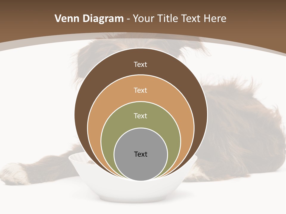 A Brown And White Dog Sitting Next To A Bowl Of Food PowerPoint Template