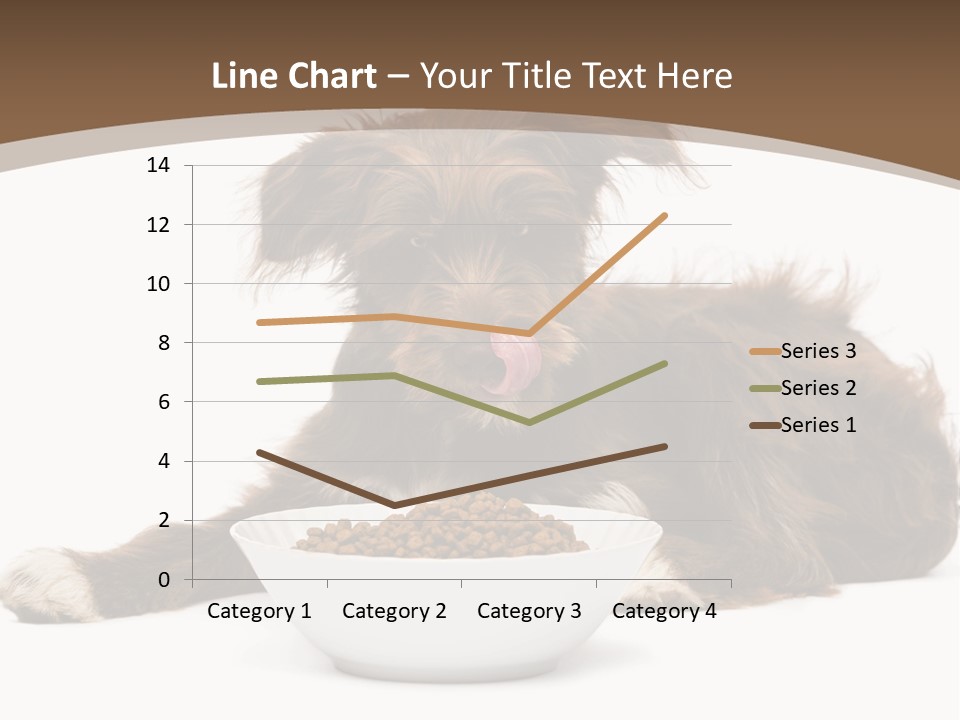 A Brown And White Dog Sitting Next To A Bowl Of Food PowerPoint Template