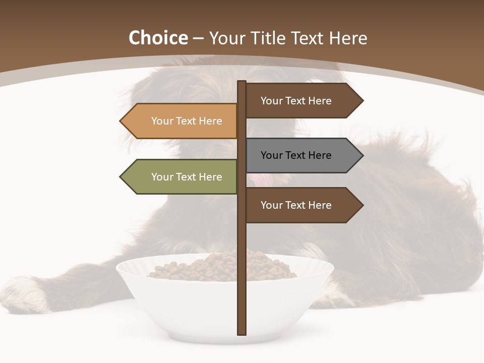A Brown And White Dog Sitting Next To A Bowl Of Food PowerPoint Template