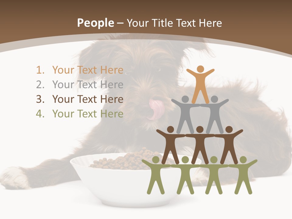 A Brown And White Dog Sitting Next To A Bowl Of Food PowerPoint Template