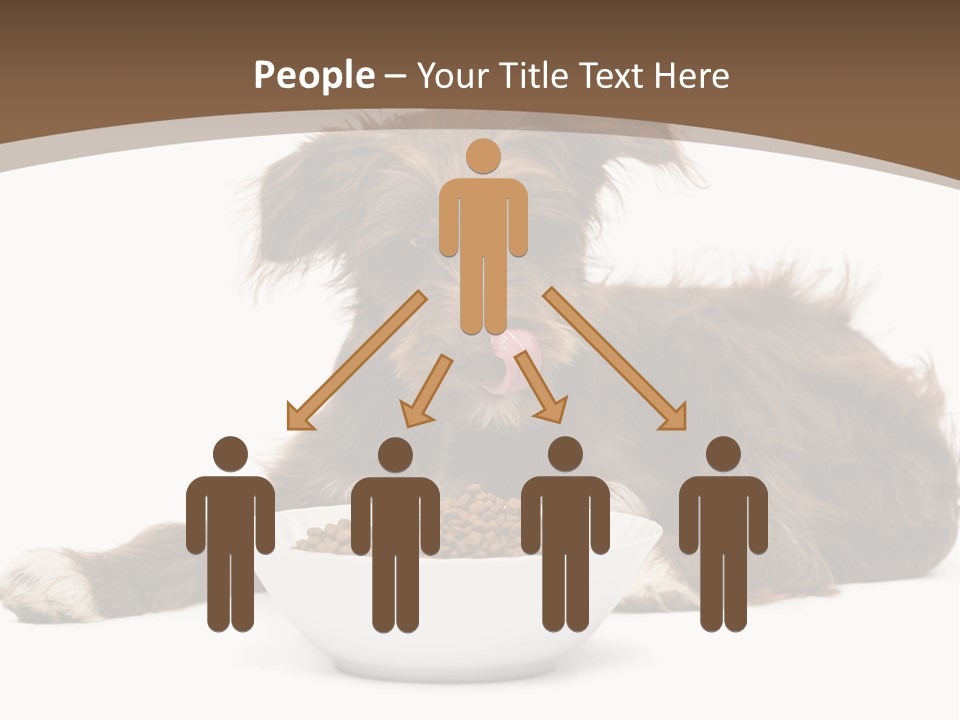 A Brown And White Dog Sitting Next To A Bowl Of Food PowerPoint Template