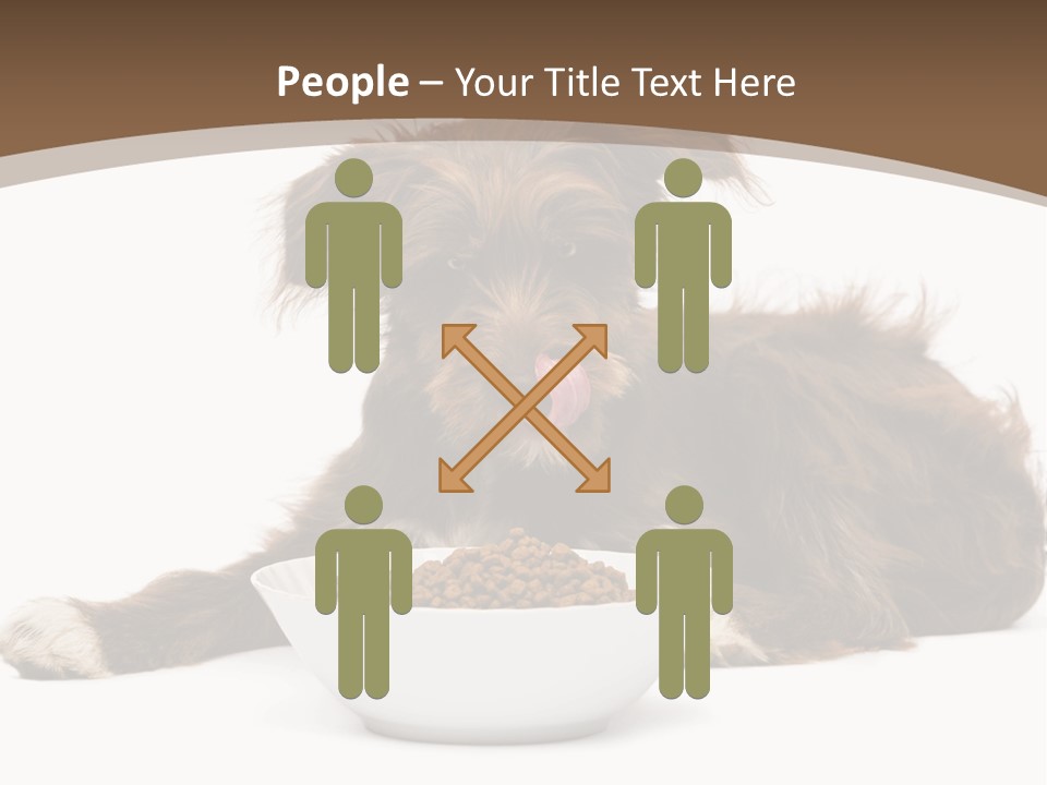 A Brown And White Dog Sitting Next To A Bowl Of Food PowerPoint Template