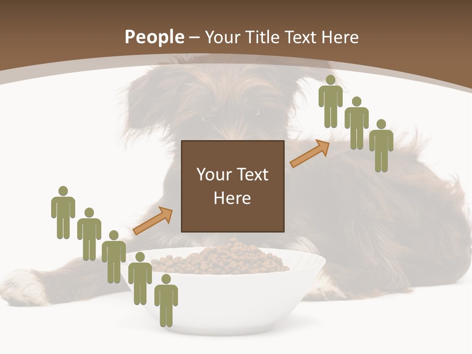A Brown And White Dog Sitting Next To A Bowl Of Food PowerPoint Template