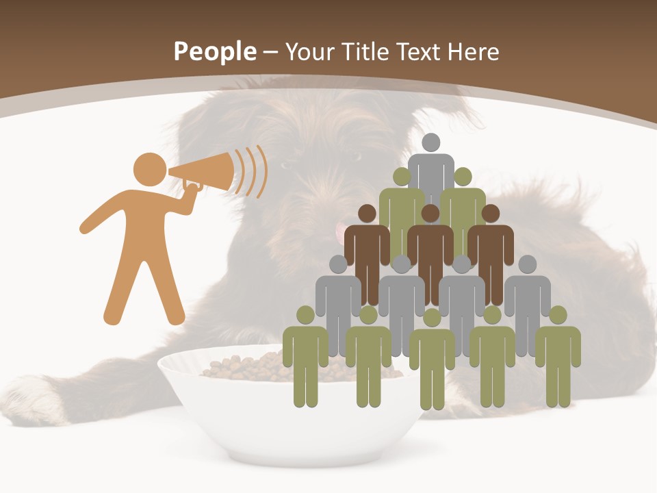 A Brown And White Dog Sitting Next To A Bowl Of Food PowerPoint Template
