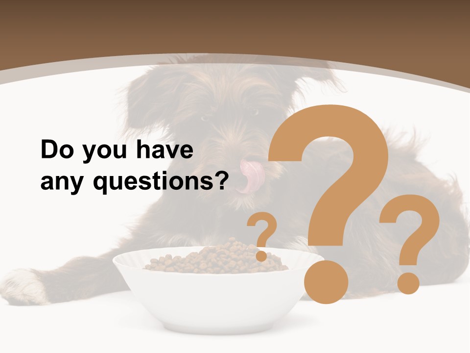 A Brown And White Dog Sitting Next To A Bowl Of Food PowerPoint Template