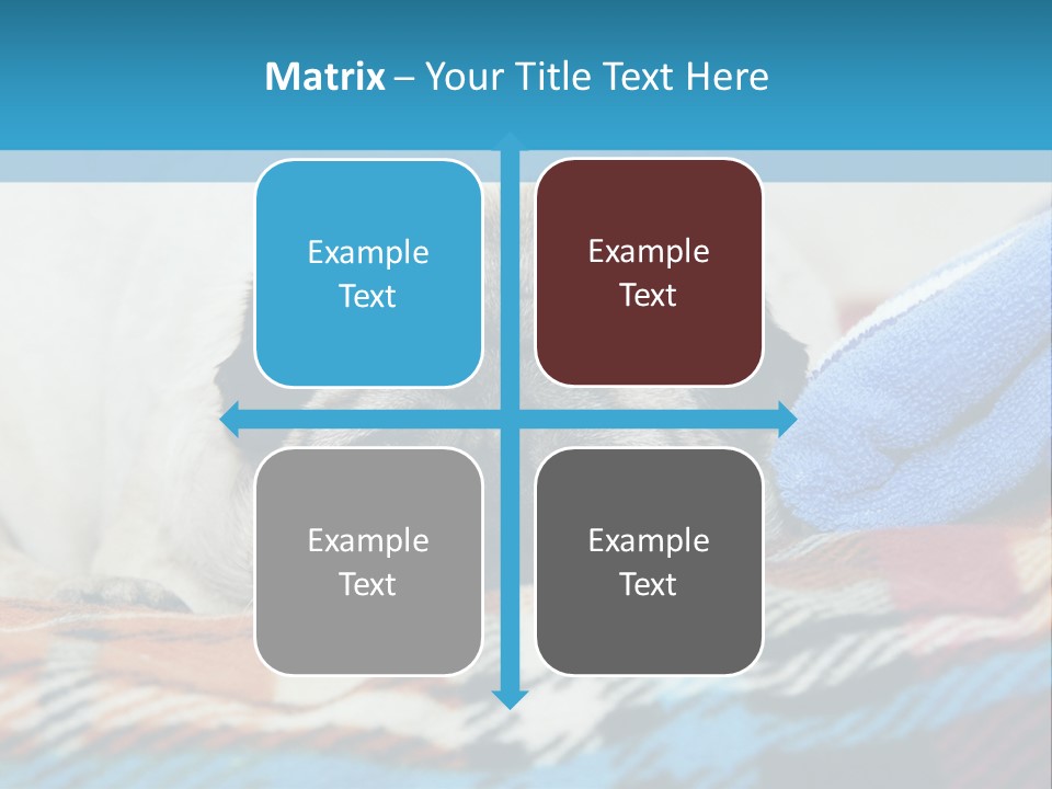 A Pug Dog Laying On A Blanket With A Blue Towel PowerPoint Template