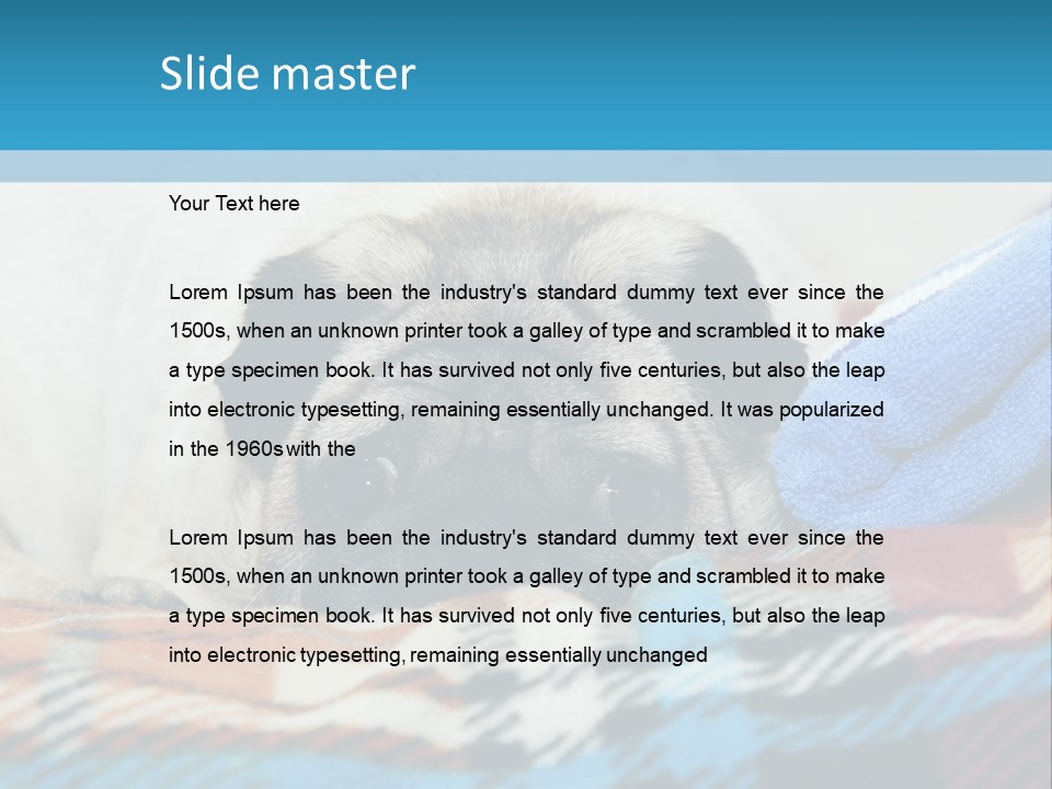 A Pug Dog Laying On A Blanket With A Blue Towel PowerPoint Template