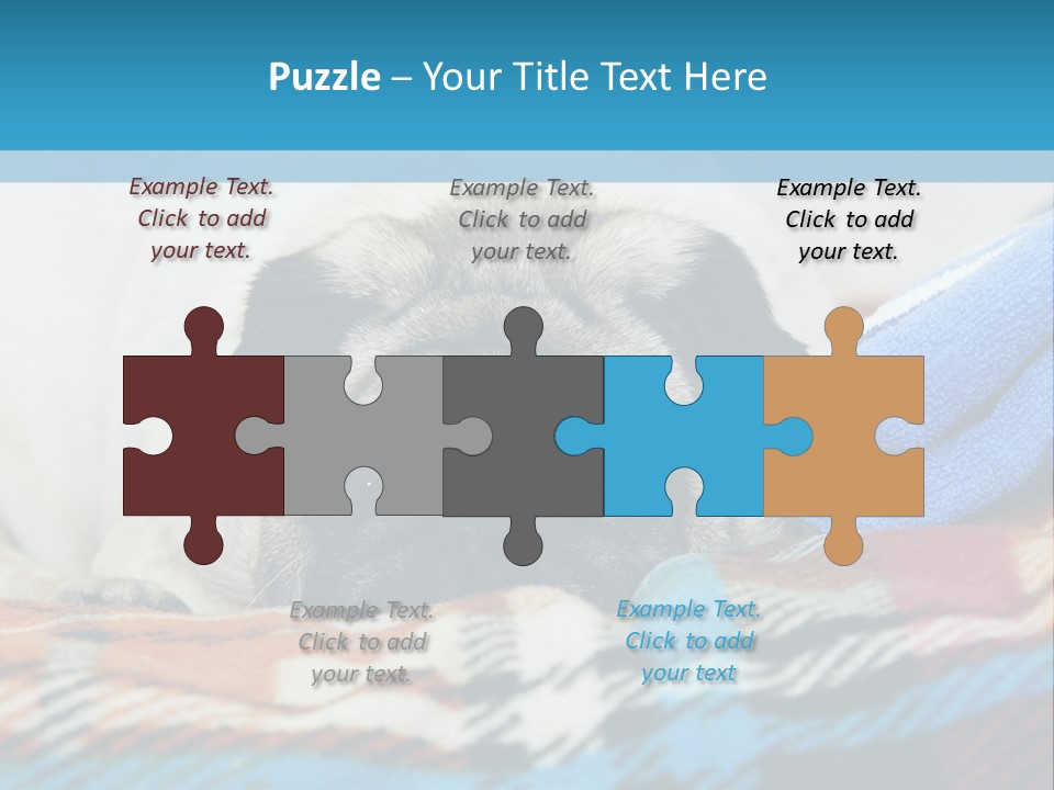 A Pug Dog Laying On A Blanket With A Blue Towel PowerPoint Template
