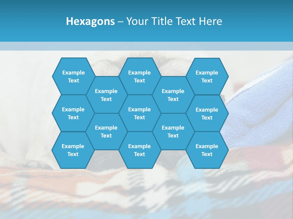 A Pug Dog Laying On A Blanket With A Blue Towel PowerPoint Template