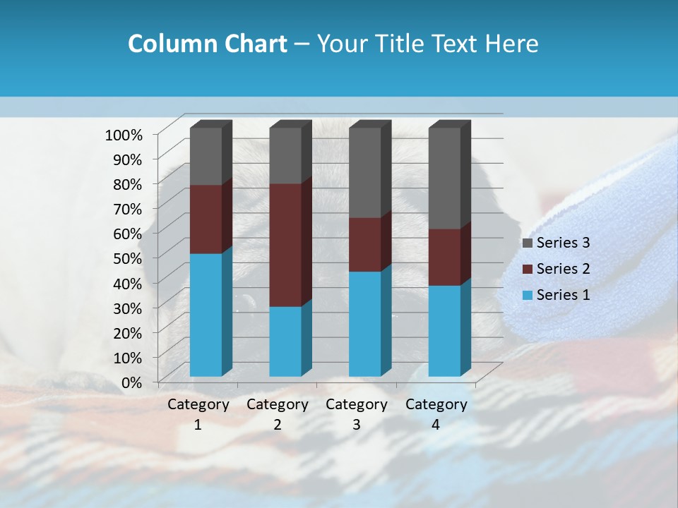 A Pug Dog Laying On A Blanket With A Blue Towel PowerPoint Template