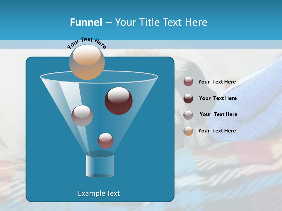 A Pug Dog Laying On A Blanket With A Blue Towel PowerPoint Template