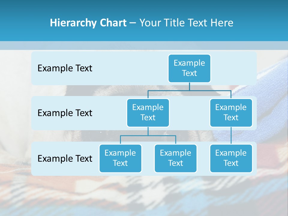 A Pug Dog Laying On A Blanket With A Blue Towel PowerPoint Template