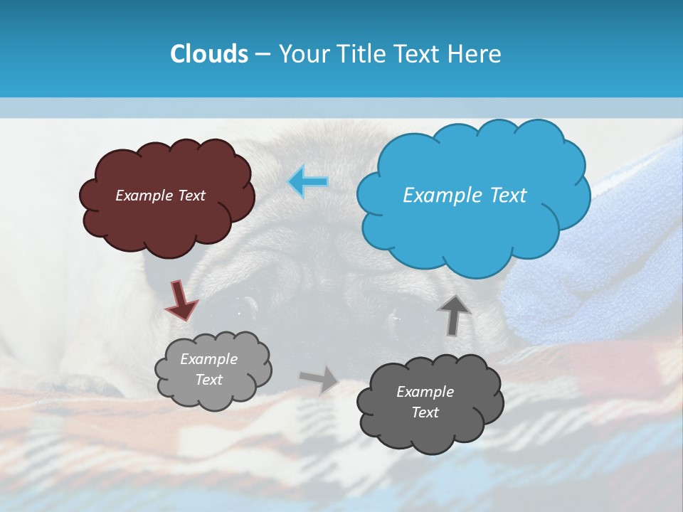 A Pug Dog Laying On A Blanket With A Blue Towel PowerPoint Template