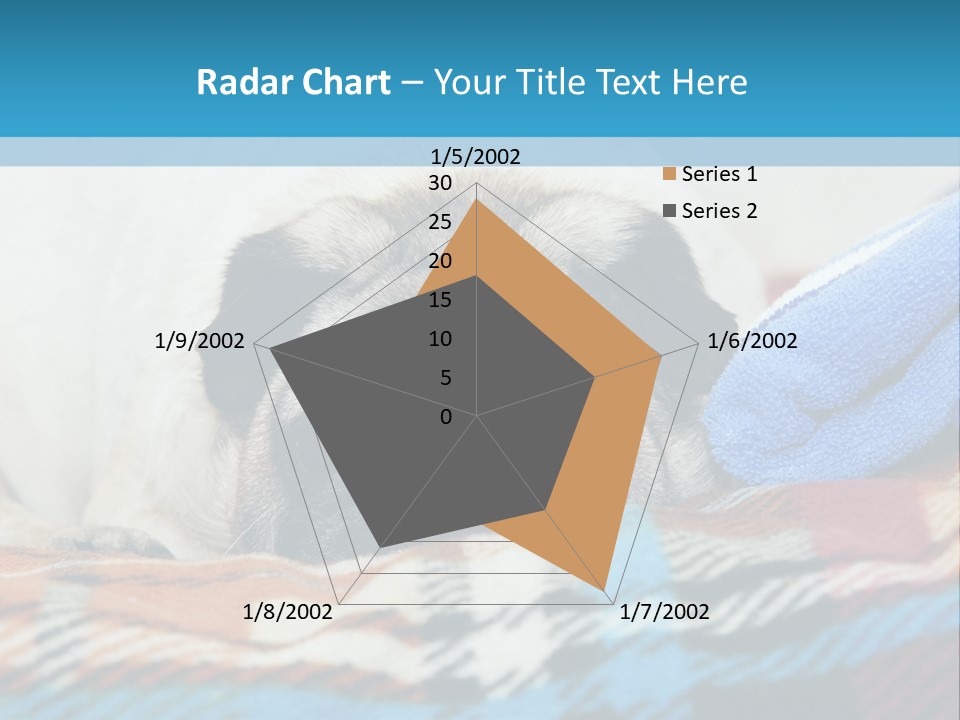 A Pug Dog Laying On A Blanket With A Blue Towel PowerPoint Template