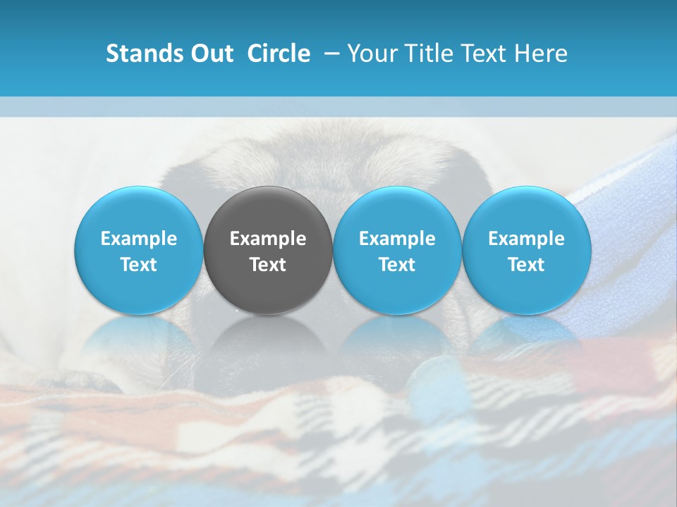 A Pug Dog Laying On A Blanket With A Blue Towel PowerPoint Template