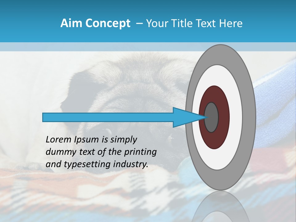 A Pug Dog Laying On A Blanket With A Blue Towel PowerPoint Template