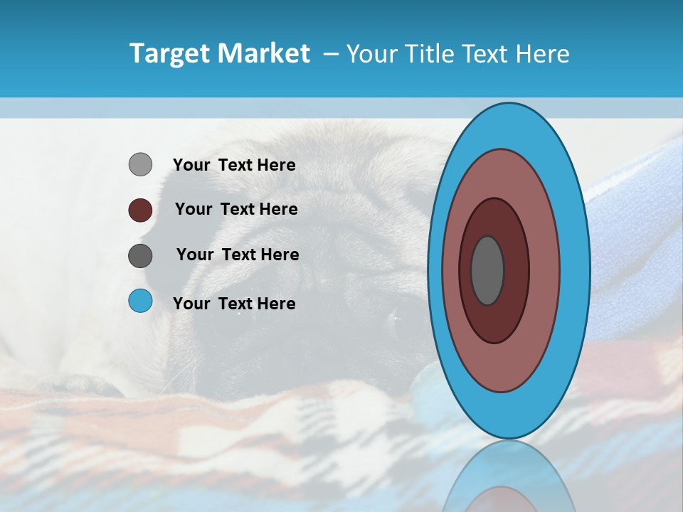 A Pug Dog Laying On A Blanket With A Blue Towel PowerPoint Template