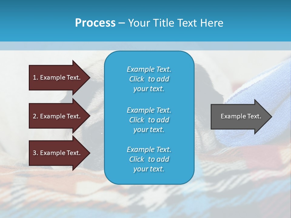 A Pug Dog Laying On A Blanket With A Blue Towel PowerPoint Template