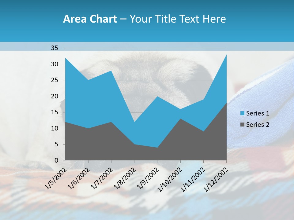 A Pug Dog Laying On A Blanket With A Blue Towel PowerPoint Template
