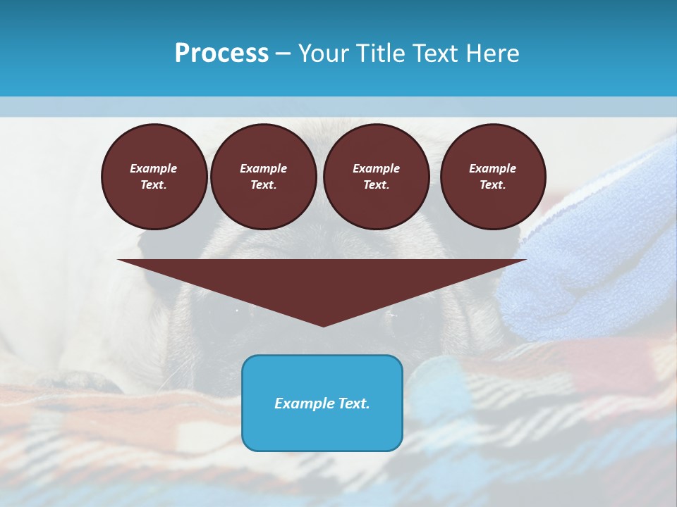 A Pug Dog Laying On A Blanket With A Blue Towel PowerPoint Template