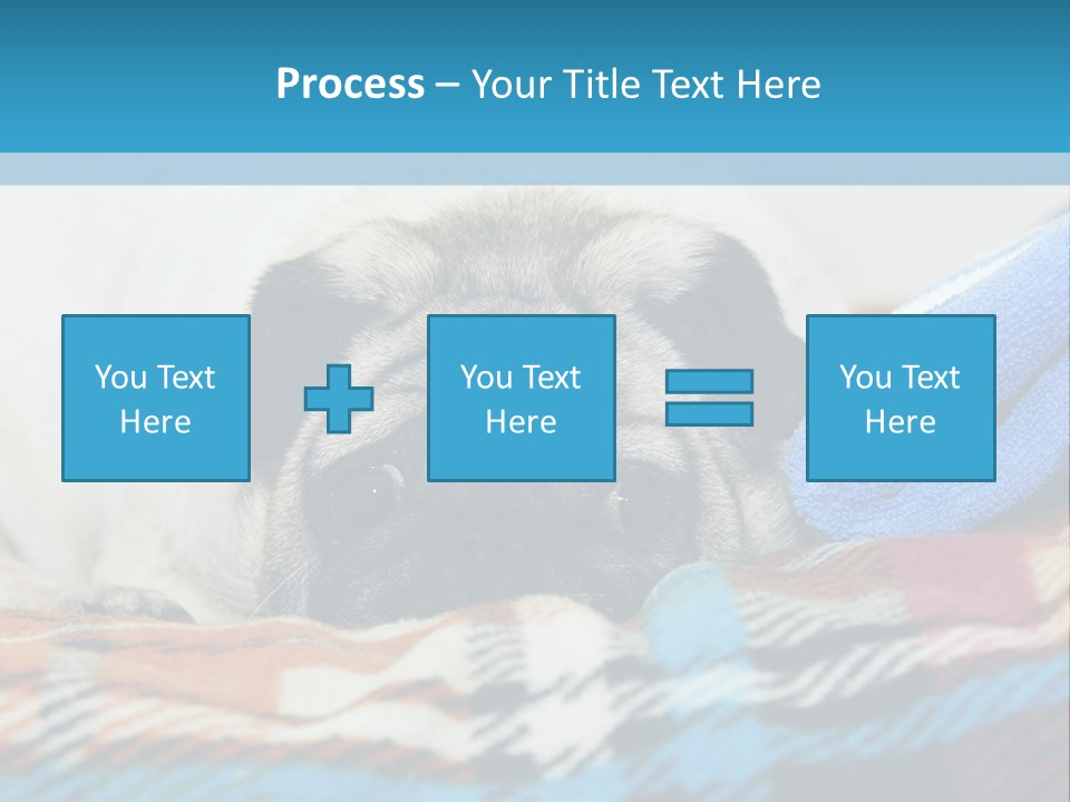 A Pug Dog Laying On A Blanket With A Blue Towel PowerPoint Template