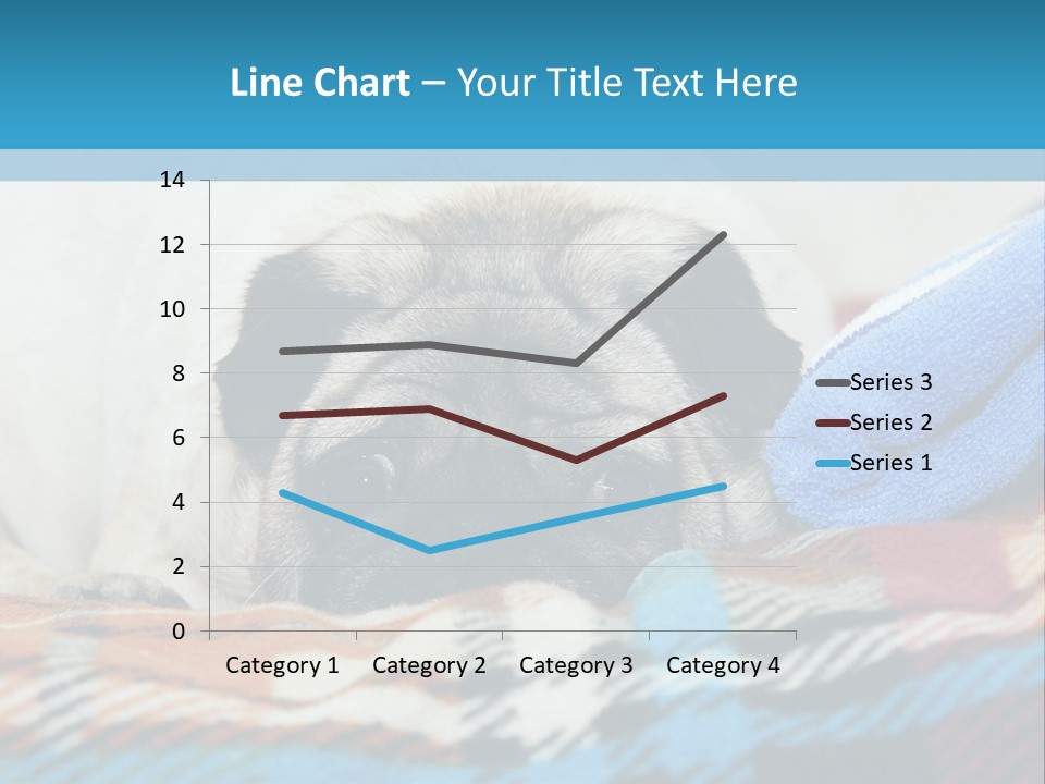 A Pug Dog Laying On A Blanket With A Blue Towel PowerPoint Template