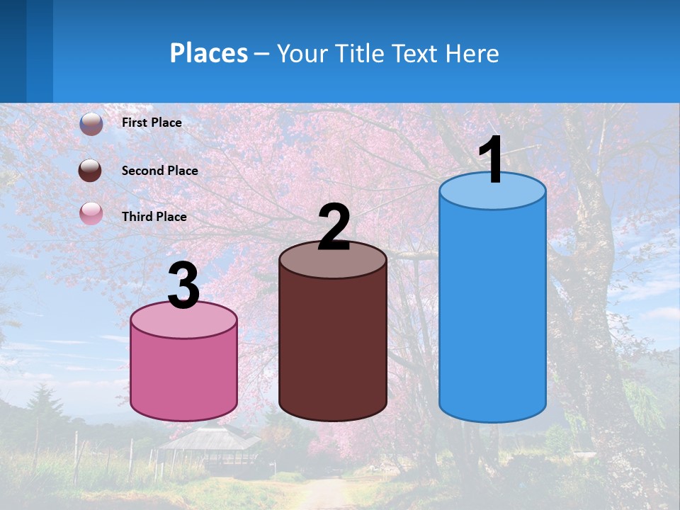 A Beautiful Pink Tree With Blue Sky In The Background PowerPoint Template