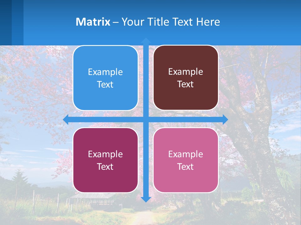 A Beautiful Pink Tree With Blue Sky In The Background PowerPoint Template