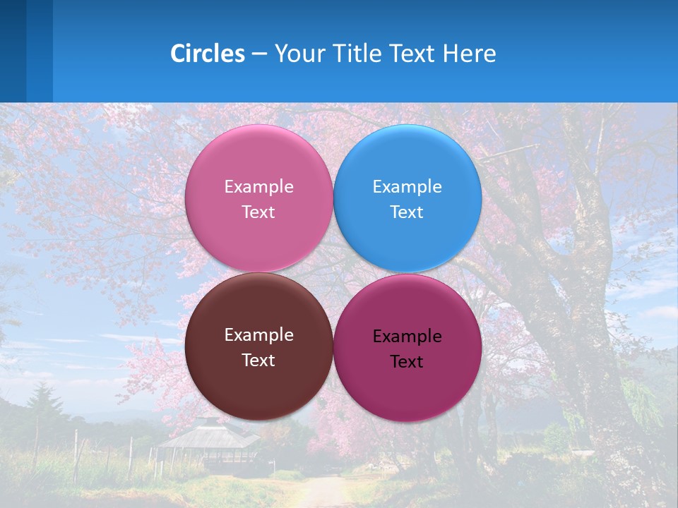 A Beautiful Pink Tree With Blue Sky In The Background PowerPoint Template