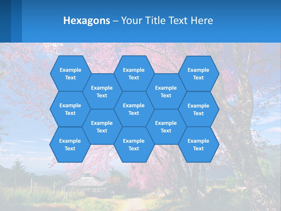 A Beautiful Pink Tree With Blue Sky In The Background PowerPoint Template