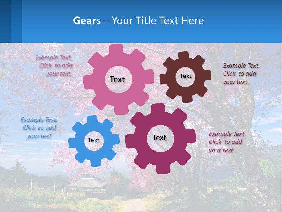 A Beautiful Pink Tree With Blue Sky In The Background PowerPoint Template