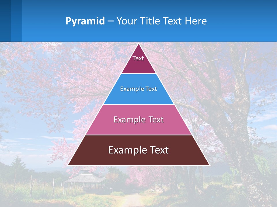 A Beautiful Pink Tree With Blue Sky In The Background PowerPoint Template