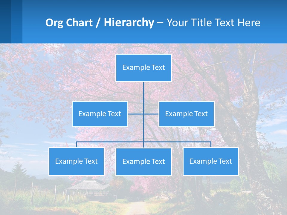 A Beautiful Pink Tree With Blue Sky In The Background PowerPoint Template