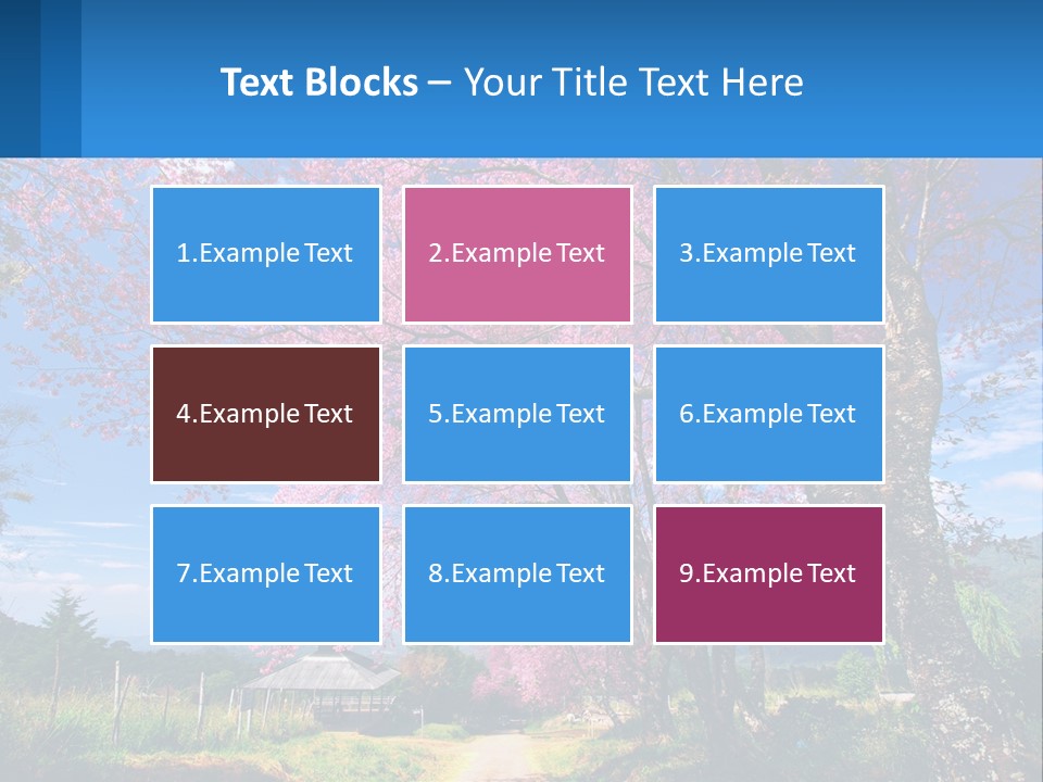 A Beautiful Pink Tree With Blue Sky In The Background PowerPoint Template