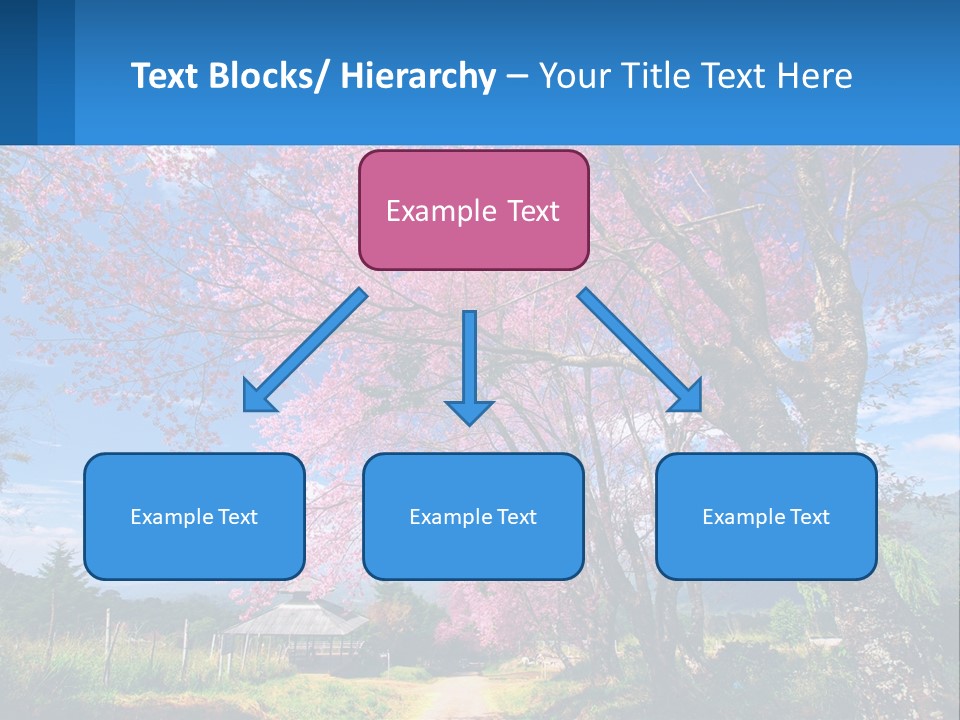 A Beautiful Pink Tree With Blue Sky In The Background PowerPoint Template