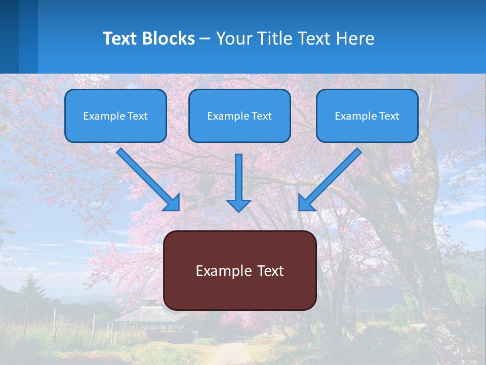 A Beautiful Pink Tree With Blue Sky In The Background PowerPoint Template