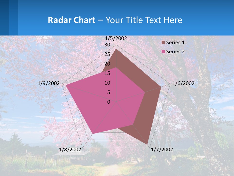 A Beautiful Pink Tree With Blue Sky In The Background PowerPoint Template