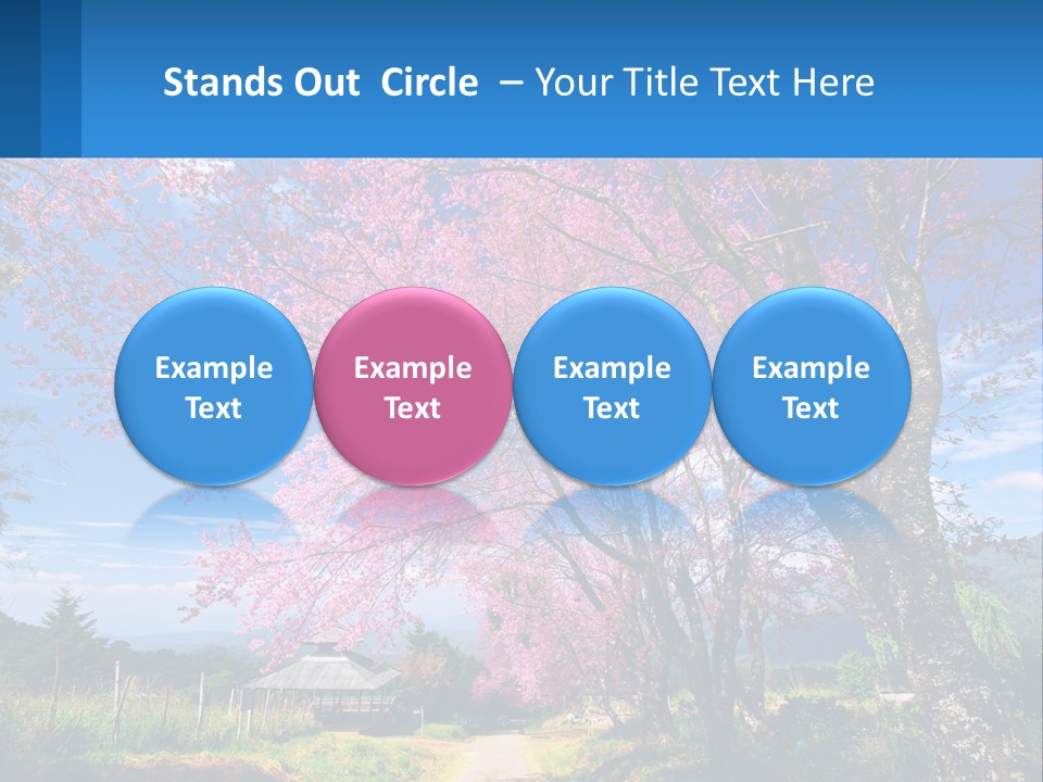 A Beautiful Pink Tree With Blue Sky In The Background PowerPoint Template