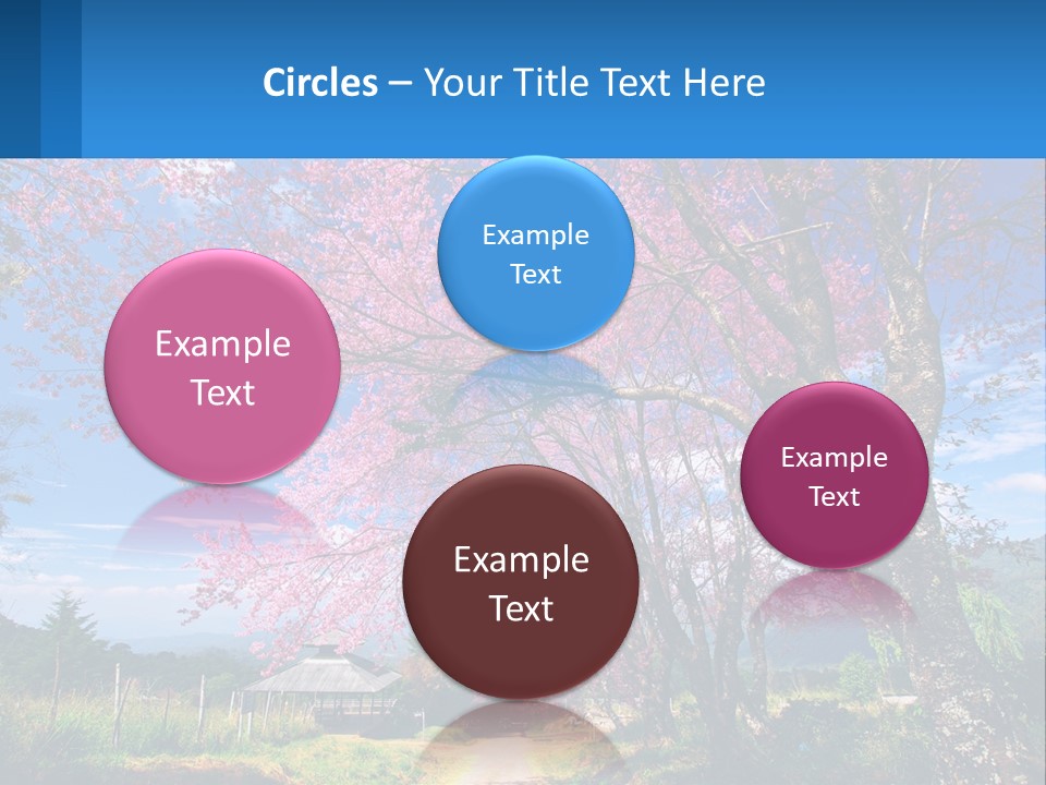 A Beautiful Pink Tree With Blue Sky In The Background PowerPoint Template