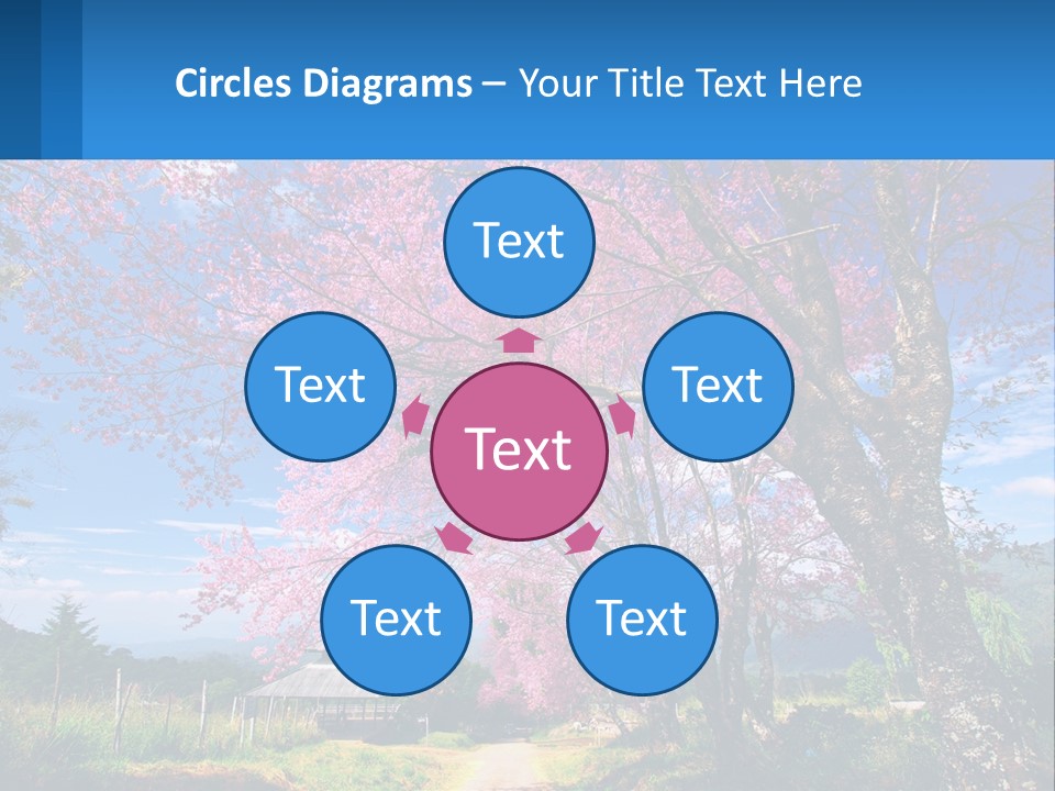 A Beautiful Pink Tree With Blue Sky In The Background PowerPoint Template