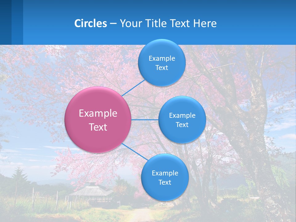 A Beautiful Pink Tree With Blue Sky In The Background PowerPoint Template