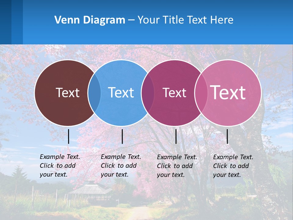 A Beautiful Pink Tree With Blue Sky In The Background PowerPoint Template