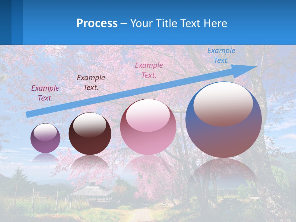A Beautiful Pink Tree With Blue Sky In The Background PowerPoint Template