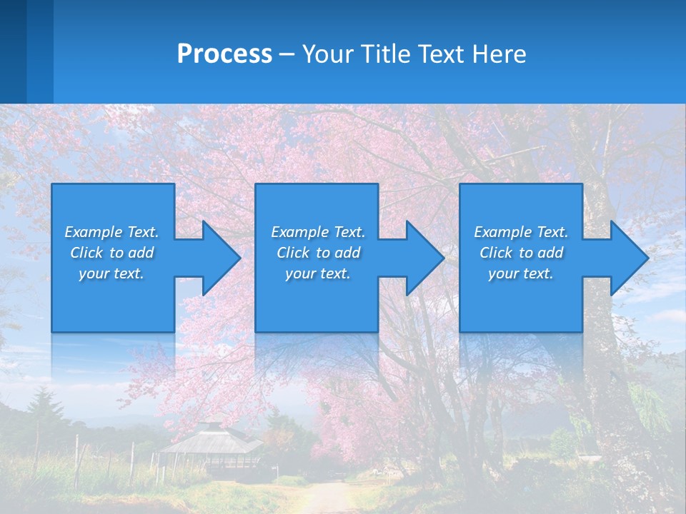A Beautiful Pink Tree With Blue Sky In The Background PowerPoint Template