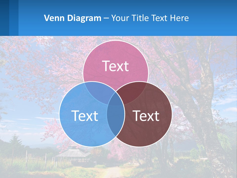 A Beautiful Pink Tree With Blue Sky In The Background PowerPoint Template