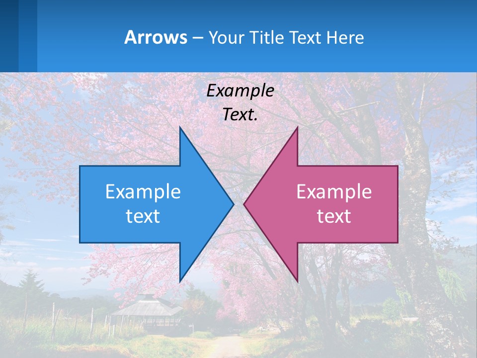 A Beautiful Pink Tree With Blue Sky In The Background PowerPoint Template