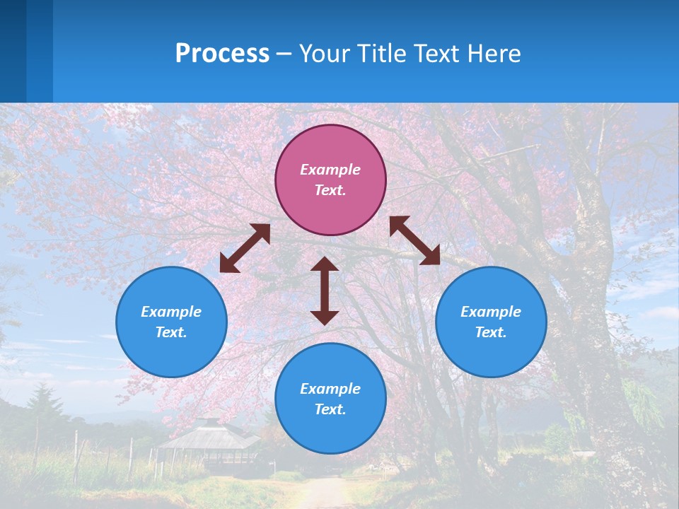 A Beautiful Pink Tree With Blue Sky In The Background PowerPoint Template